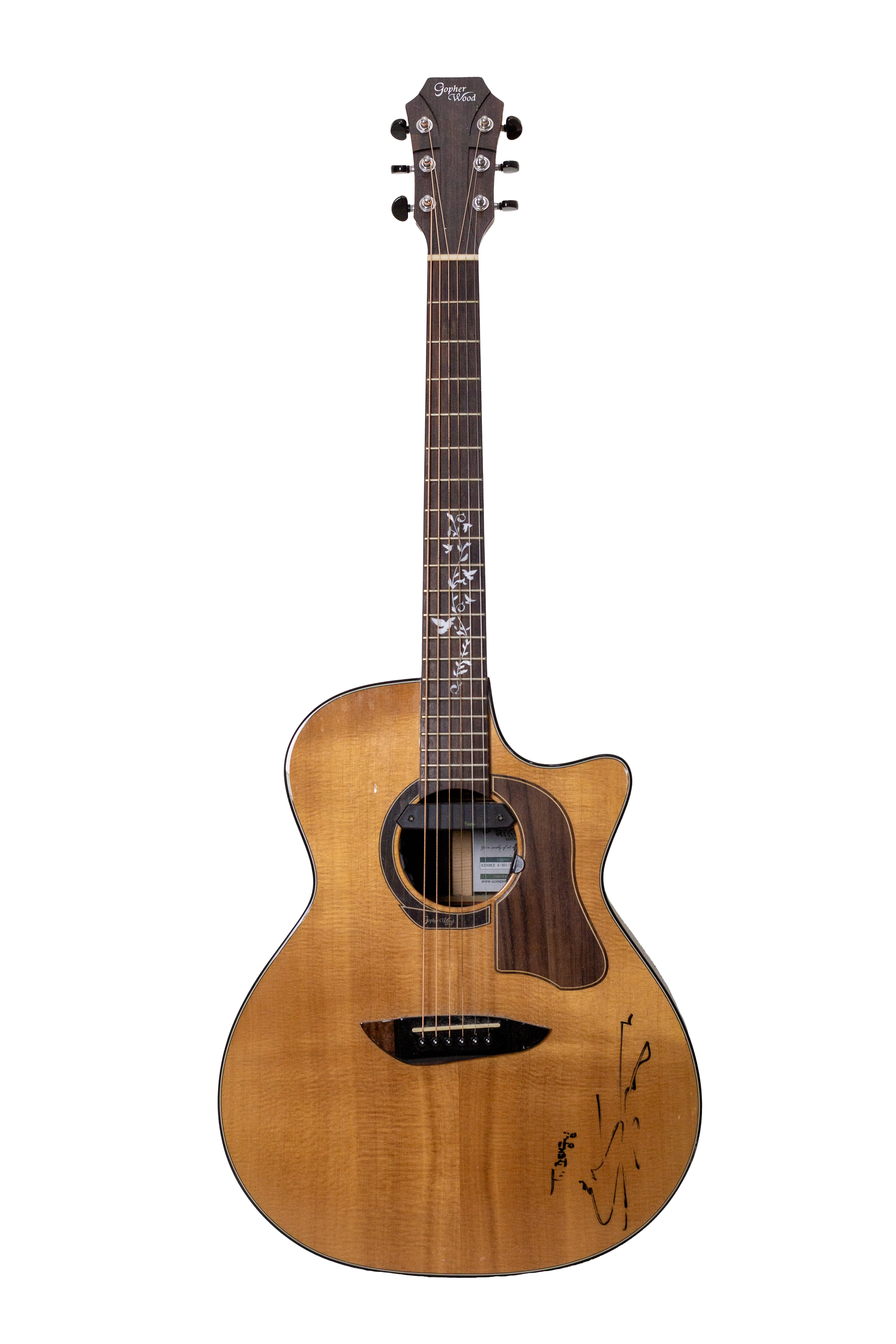 Martin Guitar