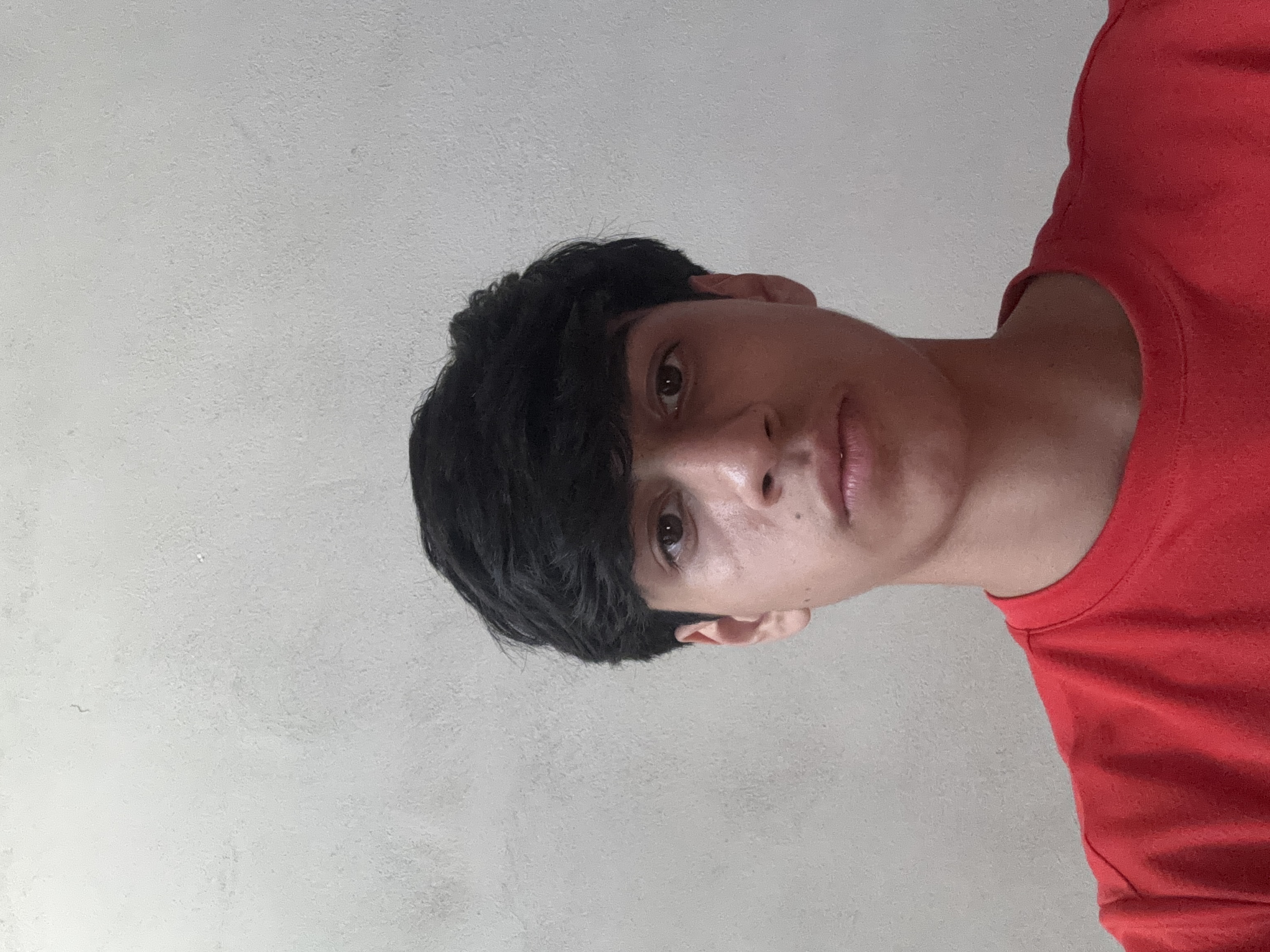 David Jael Briano Herrera