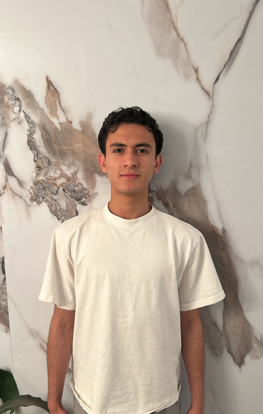 Ariel Santiago Arce Servin